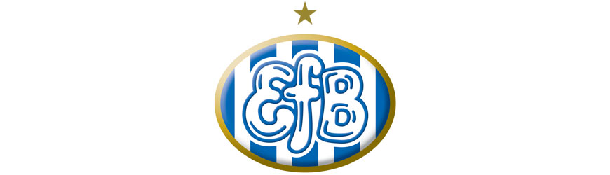 Logo for EFB